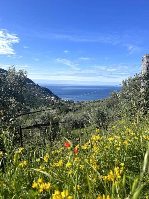 Olivetta House Holiday مونيلّي المظهر الخارجي الصورة